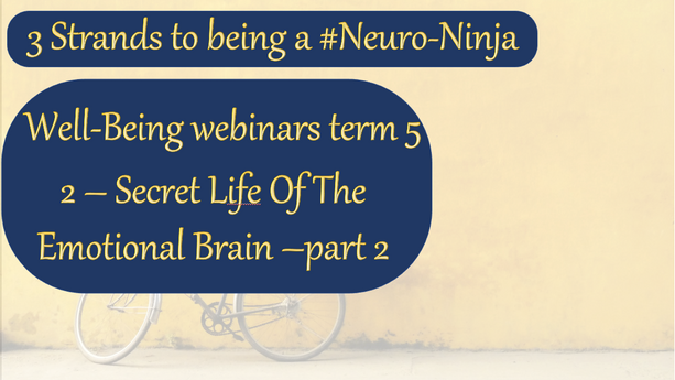 Term5 Well Being Webinars Term 5 - Secret Life of the Emotional Brain Session 2